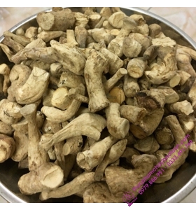 Chân nấm đông cô khô